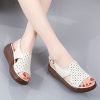 Balance heel BH564 - White Hollow