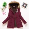 Jacket JK003 - Wine red