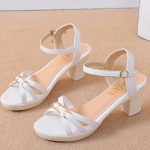 Box Heel BOXH526 - Image 3