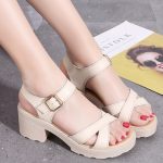 Box Heel BOXH595 - Image 3