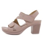 Box Heel BOXH596 - Image 2