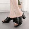 BOX Heel BOXH786 - Black
