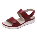 Slipper  SL438 - Image 3