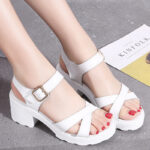 Box Heel BOXH595 - Image 5